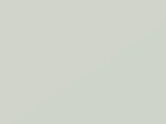 Bianco Eldorado touch-up paint for Maserati, code 229025, 2004