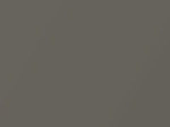 Silver Sand Metallic touch-up paint for Rolls Royce, code R21, 2011