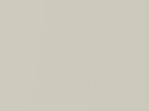 Arizona Pearl Metallic touch-up paint for Rolls Royce, code T49, 2016