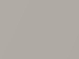 Champagne Silver Metallic touch-up paint for Chevrolet, code 102V, GWT, WA102V, 2016