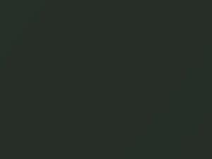 Pale Emerald touch-up paint for Bentley, code 6622, 9560185, 2014