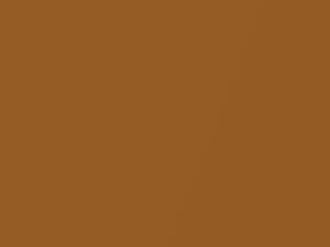 Korea Gold Metallic touch-up paint for Ford, code 747, EESE, EESEXWA, H8Q, 2018