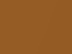 Korea Gold Metallic touch-up paint for Ford, code 747, EESE, EESEXWA, H8Q, 2018