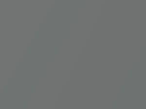 London Gray Metallic touch-up paint for Ford, code 3NPC, 2016