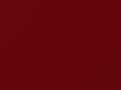 BMW Cinnabar Red touch up paint 138 1987 All Models
