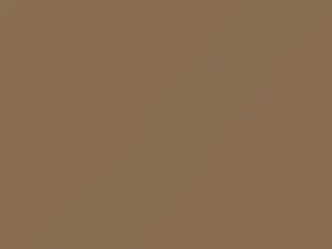 Sheriff Tan touch-up paint for Dodge, code P76, 2021