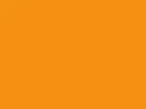 Continental Yellow touch-up paint for Bentley, code 6109, 9561045, LO1H, 2016