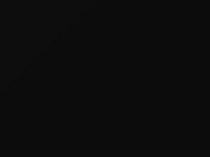 Audi Brilliant Black touch up paint A2PW 2011 S5