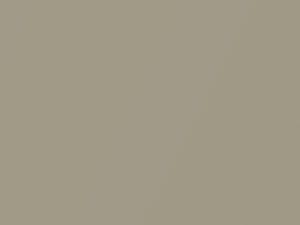 & Country Linen Gold Pearl touch-up paint for Chrysler Town, code PYG, 2005