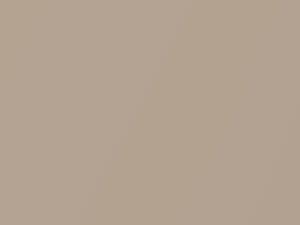 Mocha Frost Metallic touch-up paint for Ford Ranger, code CK3, DD, M6465A, 1995