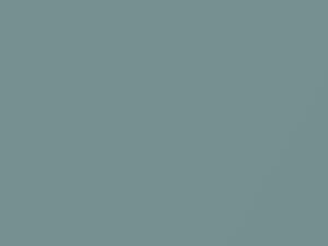 Frosty Green Mica touch-up paint for Toyota Allion, code 781, 2017