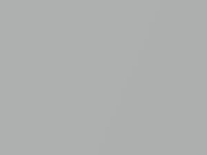 Silver Metallic touch-up paint for Toyota, code 1G1, 2007