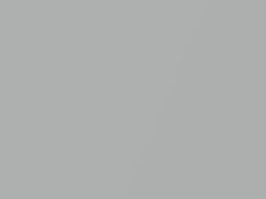 Silver Metallic touch-up paint for Toyota, code 1G1, 2006