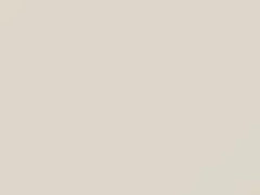 White touch-up paint for Buick, code 40, 8554, WA8554, 1993