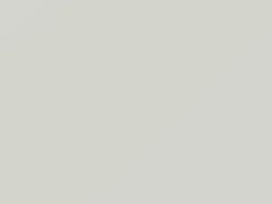 White touch-up paint for Pontiac, code 40U, 9737, WA9737, 2011