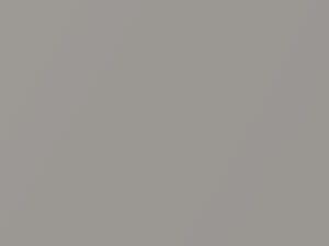 Silver Shadow Pearl touch-up paint for Toyota Sienna, code 1D7, 2003