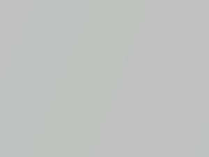 Ultra Silver Metallic touch-up paint for Oldsmobile Bravada, code 8867, 96, WA8867, 1996