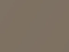 Volkswagen Sand Gold Metallic touch up paint 4T 2019 All Models
