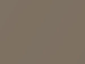 Volkswagen Sand Gold Metallic touch up paint 4T 2019 All Models