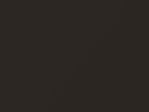 Volkswagen Black Oak Brown Metallic touch up paint B8R 2019 All Models