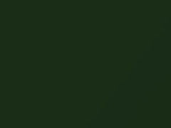 Verde Ermes Pearl touch-up paint for Lamborghini, code 121, 2015