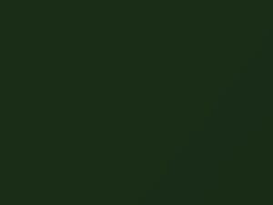 Verde Ermes Pearl touch-up paint for Lamborghini, code 121, 2015