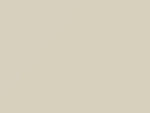 Bianco touch-up paint for Fiat Panda, code 268A, 2011