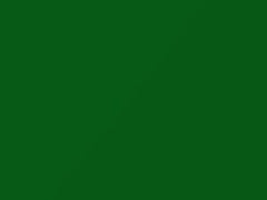 Verde Bambu touch-up paint for Fiat, code 69, 2011