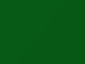 Verde Bambu touch-up paint for Fiat, code 69, 2011