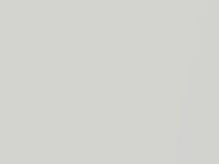 White Pearl touch-up paint for Mitsubishi, code W81, 2020