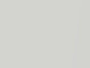White Pearl touch-up paint for Mitsubishi, code W81, 2020