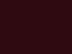 Merlot Red Mica touch-up paint for Aston Martin, code AST1342, 2007