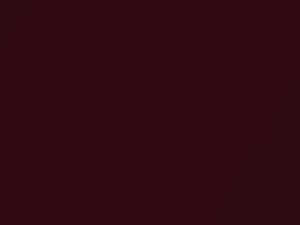 Merlot Red Mica touch-up paint for Aston Martin, code AST1342, 2007