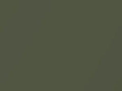 Yellowish Green Metallic touch-up paint for Nissan, code JAC, 2009