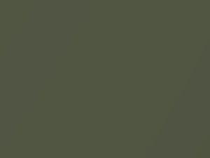 Yellowish Green Metallic touch-up paint for Nissan, code JAC, 2009