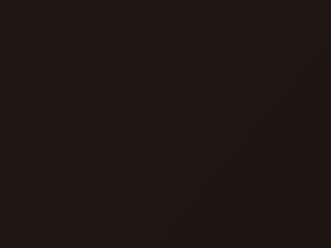 Vintage Brown Pearl touch-up paint for Toyota, code 4X4, 2021