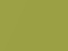 Electric Lime Metallic touch-up paint for Toyota, code 588, 2020