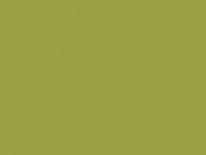 Electric Lime Metallic touch-up paint for Toyota, code 588, 2020