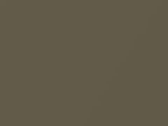 Ginger Ale Metallic touch-up paint for Ford Fusion, code CEMEWHA, JY, M7262A, 2013