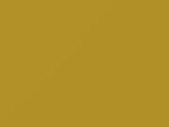 Digital Yellow touch-up paint for Kia Rio, code DYS, 2016