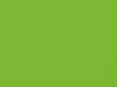Ultimate Green Pearl touch-up paint for Ford, code 712, 9GFE + alternatives, 2010