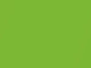 Ultimate Green Pearl touch-up paint for Ford, code 712, 9GFE + alternatives, 2010