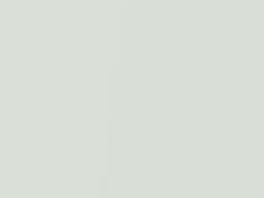 Orchid White Pearl touch-up paint for Honda Accord, code NH788P, 2017