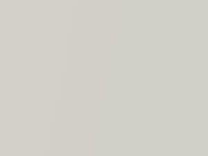 Bianco Perla Mica touch-up paint for Fiat, code 208A, 2008