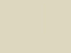 White Pearl touch-up paint for Kia Optima, code U2, 2001