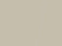 Platinum White Pearl touch-up paint for Honda, code NH609P, 1997