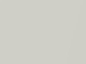 Arctic White Pearl touch-up paint for Nissan Maxima, code QN0, 1999