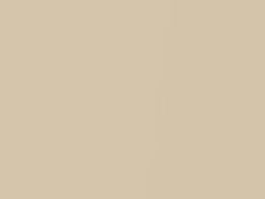 Beige Pearl touch-up paint for Toyota, code 4S8, 2005