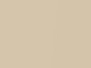Beige Pearl touch-up paint for Toyota, code 4S8, 2005